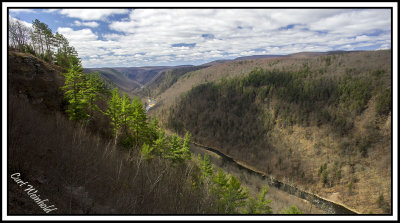 Pine Creek Gorge at Leonard Harrison State Park