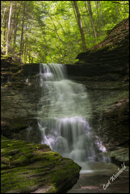 Pine Island falls