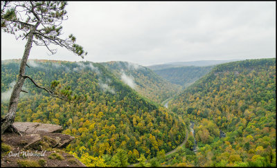 Pine Creek Gorge