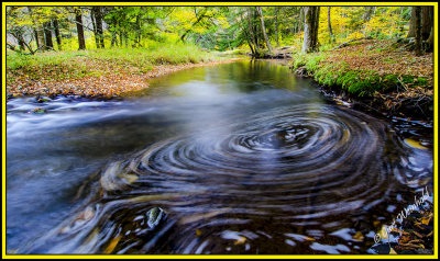 Whirlpool on Lyman Run