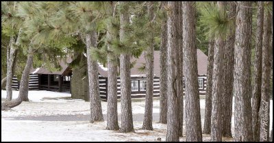 Cherry Springs pavilion