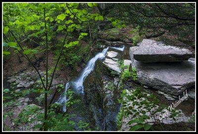 Middle Falls of Four Mile Run