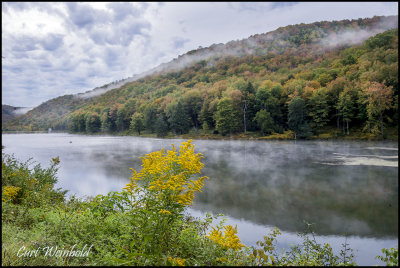 Lyman Lake Goldenrod