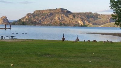 20160516_193018.jpg