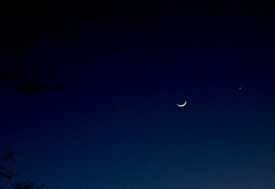 Spring light show with the moon & Venus