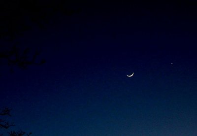 Spring light show with the moon & Venus