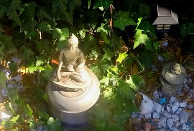 Long island Buddha hunkering down for a cold winter