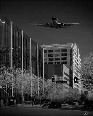 IMG_7984_2.jpg
