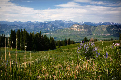 Montana 2015
