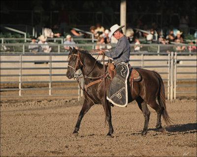 IMG_8786_2.jpg