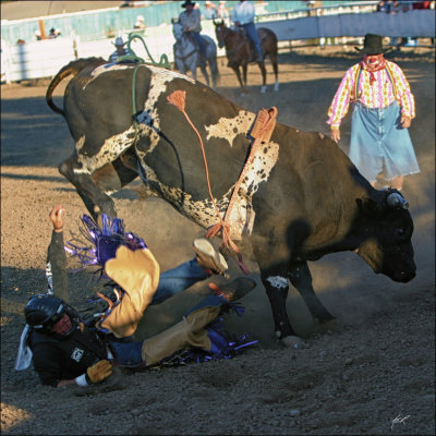 IMG_8800R1.jpg