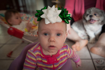 December 2015