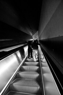 Into The Light