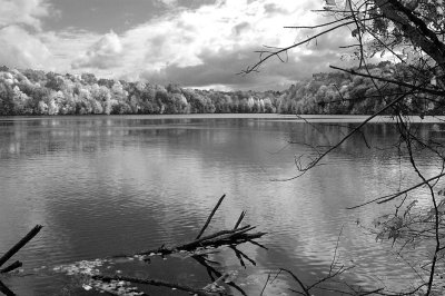 Trinty Lake