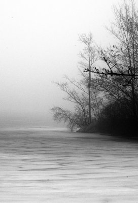Blue Heron Lake
