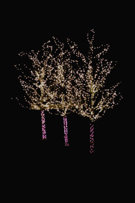 Nursery  at Xmas