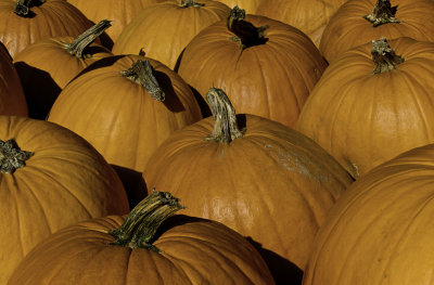 Pumpkins