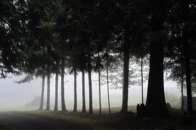 DSC_7621_resize.JPG