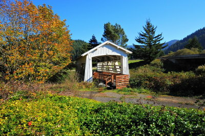 sweet_creek_covered_bridge
