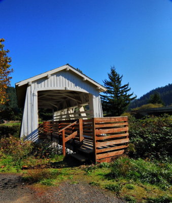 DSC_7959B_resize.jpg