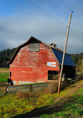 DSC_8000A_resize.jpg