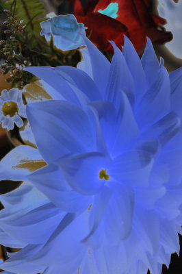 20131018_273B_resize.jpg