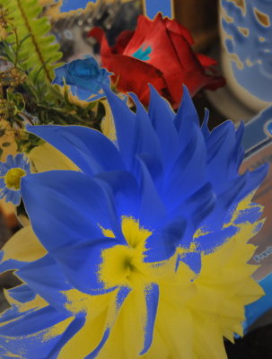 20131018_270B_resize.jpg