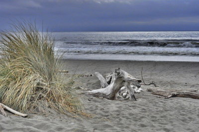 driftwood-traditional