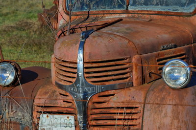 DSC_8364_resize.jpg
