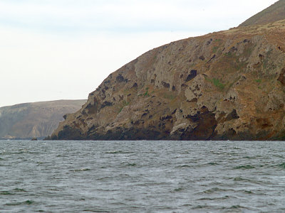 Anacapa Island shoreline