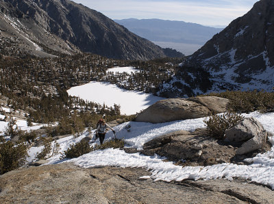 North face University Peak