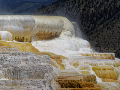 Lower Mammoth Hot Springs Terraces