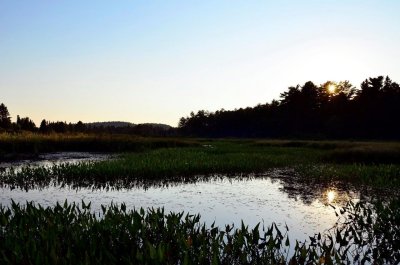 Lake of Two Rivers - Algonquin Park.