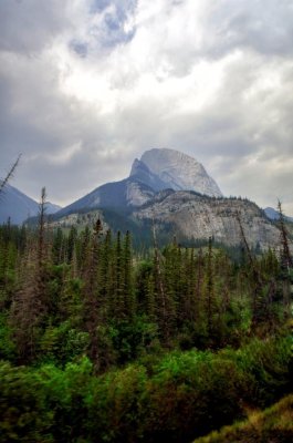 _DSC1130.jpg