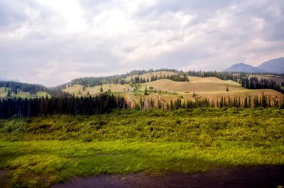 _DSC1125.jpg