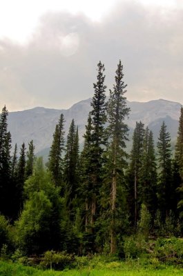 _DSC1110.jpg