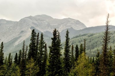 _DSC1108.jpg