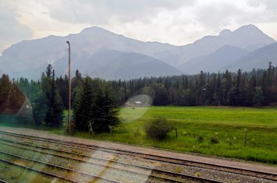 _DSC1103.jpg