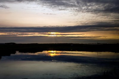 _DSC1038.jpg
