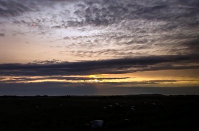_DSC1036.jpg