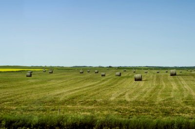 _DSC1010.jpg