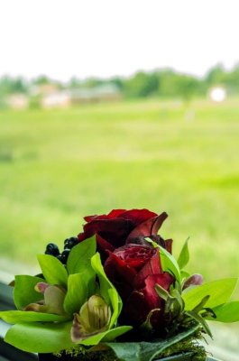 _DSC1002.jpg