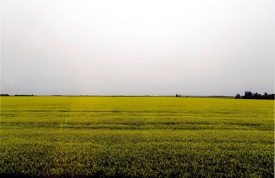 _DSC0952.jpg