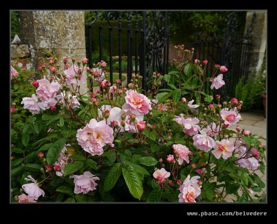 Roses, Old Garden, Hidcote Manor