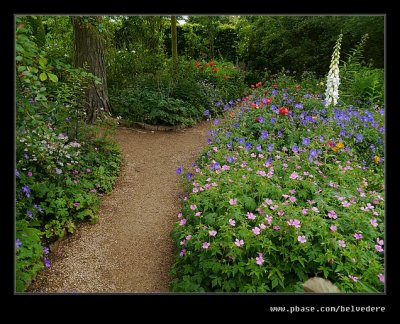 Poppy Garden #1, Hidcote Manor
