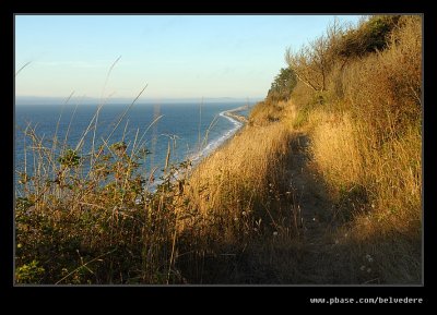 Dungeness Spit #1, nr Sequim, WA