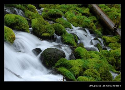 Clearwater Falls #2, Hwy 138, OR