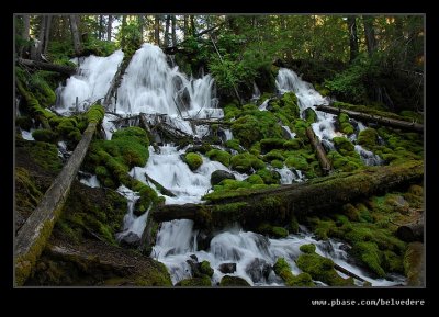 Clearwater Falls #3, Hwy 138, OR