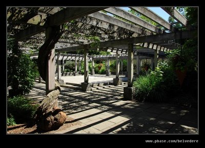 Washington Park Arboretum #01, Seattle, WA