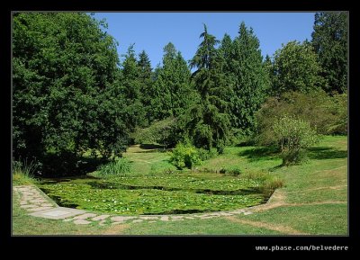 Washington Park Arboretum #04, Seattle, WA